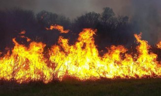 Clujul, împânzit de incendii de vegetație: gospodarii PIROMANI nu se potolesc