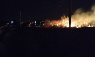 Incendiu de vegetație în Turda