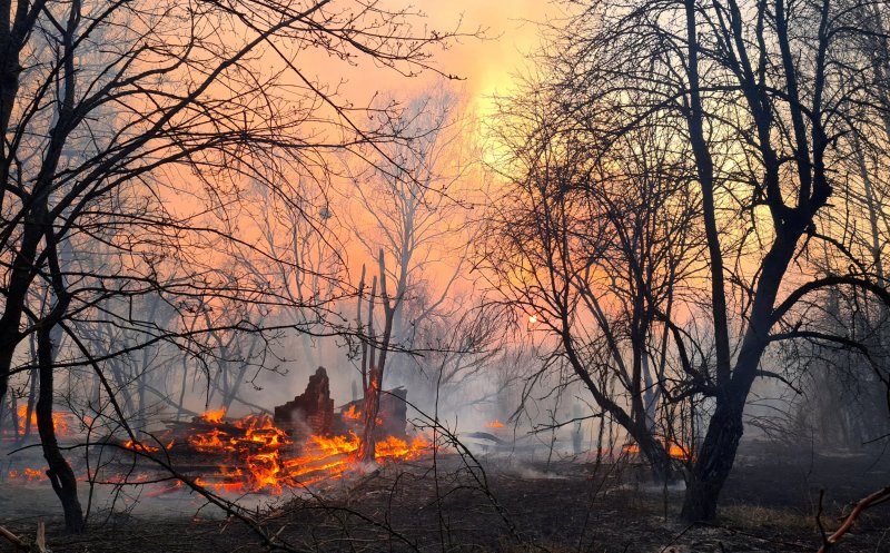 Incendiile de pădure de la Cernobîl. Ce spune Ministerul Mediului despre situația de pe teritoriul României