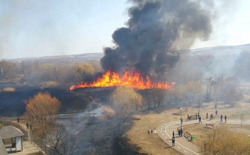 Foc puternic în Gheorgheni. A luat foc vegetația uscată din zona lacurilor/ Flăcările, la un pas de o magistrală de gaz