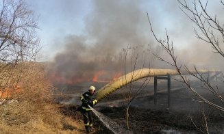 Foc puternic în Gheorgheni. A luat foc vegetația uscată din zona lacurilor