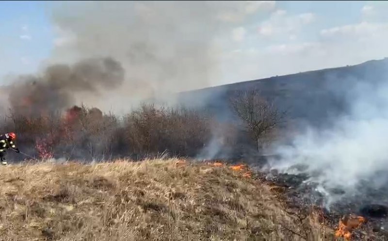 Clujul, "campion" la incendiile de vegetație! Peste 450 doar de la începutul anului/ Mesaj Ro-Alert în județ