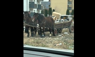 Bogdan Pivariu pune piciorul în prag: „Toleranță zero pentru transportul și depozitarea deșeurilor în mod ilegal pe raza Floreștiului”