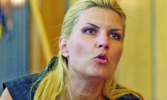 Udrea a fost reţinută pentru 24 de ore în Bulgaria, anunţă oficialii de la Sofia/ Ce spune Ministrul Justiției