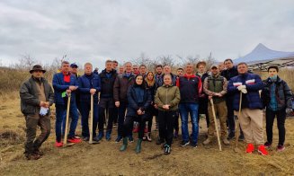 Campanie de ecologizare și împădurire demarată de social-democrații clujeni