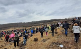 Campanie de ecologizare și împădurire demarată de social-democrații clujeni