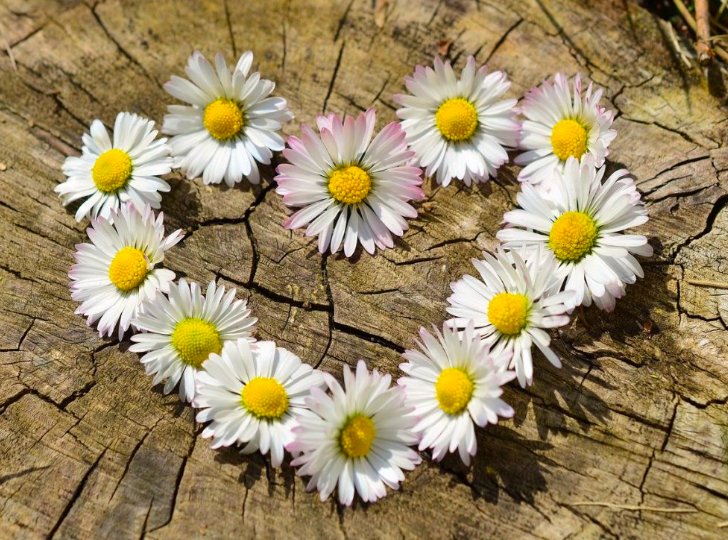 Duminica Floriilor: Aproape 1,5 milioane de români își celebrează onomastica