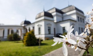 Clujul, „îmbrăcat” în culori de primăvară