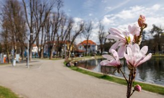 Clujul, „îmbrăcat” în culori de primăvară