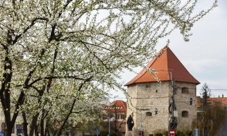 Clujul, „îmbrăcat” în culori de primăvară