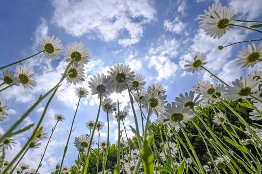 Cum va fi vremea de Paște. Previziunile ANM: „Vremea nu va fi ca în ziua de Florii”