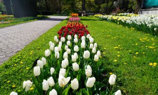 Program de vară la Grădina Botanică din Cluj-Napoca. Azi, GRATIS până în 35 de ani!