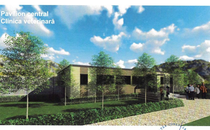 Floreștiul își face adăpost pentru animale fără stăpân. Va avea peste 10.000 de metri pătrați