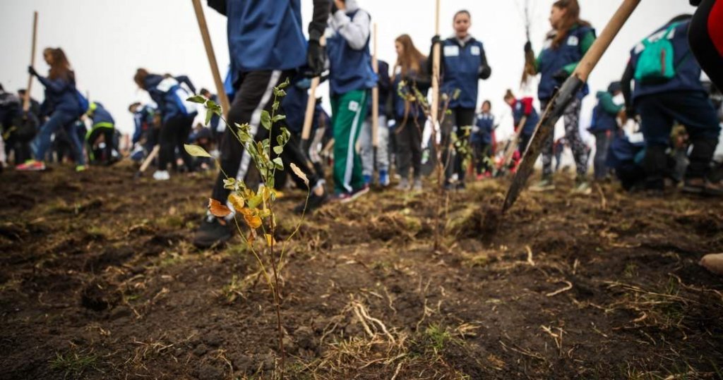 Campanie de împădurire în județul Cluj. Tișe: „Ne bucurăm că suntem parte a unui proiect atât de ambițios”