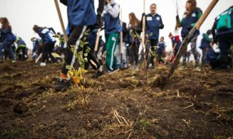 Campanie de împădurire în județul Cluj. Tișe: „Ne bucurăm că suntem parte a unui proiect atât de ambițios”