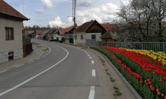 Lucrări de marcaje rutiere pe drumurile județene din Cluj