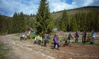 Acțiunea de împădurire de la Măguri-Răcătău, un real succes. Au fost plantați peste 3.000 de puieți