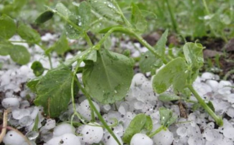 Clujul, sub pericolul calamităților naturale. Județul NU are rachete antigrindină