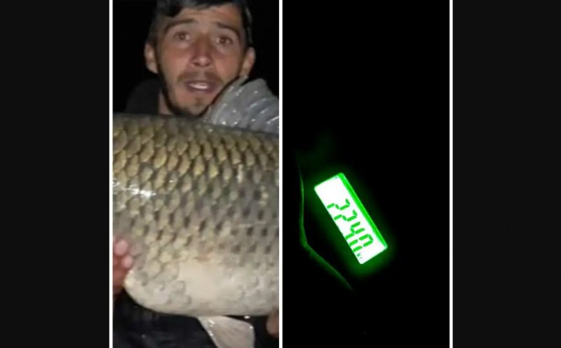 Captură RECORD! Peștele “monstru” prins pe un lac din Cluj are 22,4 kilograme