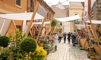 Potaissa 2022: Patru zile cu flori și muzică pe una dintre cele mai frumoase străzi din Cluj-Napoca