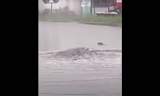 Străzi inundate şi ŞOBOLANI la Dej, după o ploaie torenţială de 20 de minute
