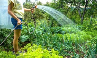 Dacă ești prins la Cluj că uzi grădina cu apă de la robinet, rămâi fără apă potabilă
