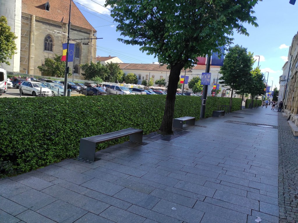 Propunere pentru Cluj: Gard viu pe trotuarele din centrul orașului