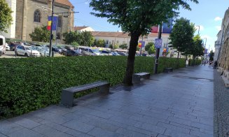 Propunere pentru Cluj: Gard viu pe trotuarele din centrul orașului