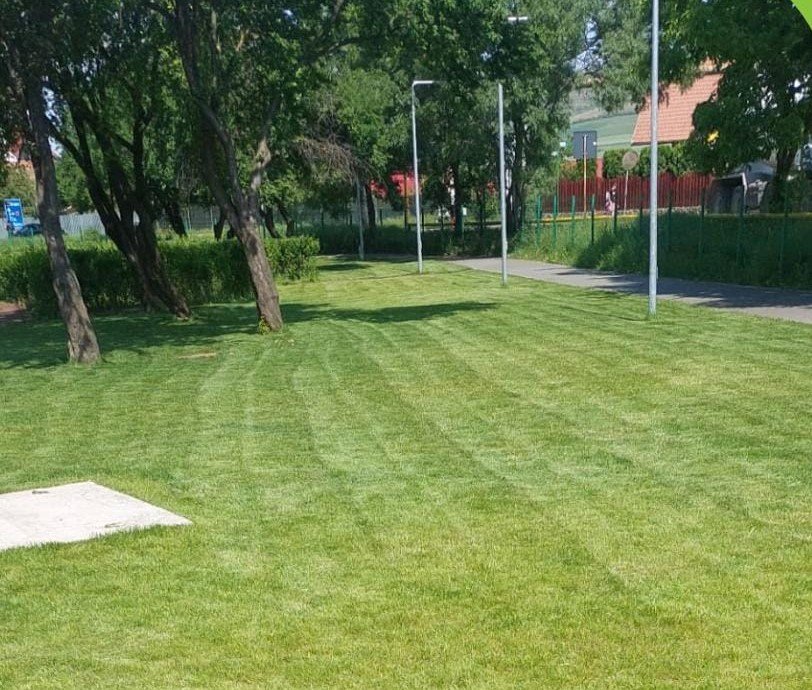 Curățenie de vară pe spațiile verzi din Florești. Unde s-a intervenit până acum