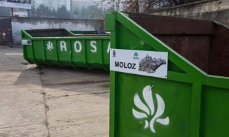 Campanie de colectare a deșeurilor voluminoase la Cluj-Napoca