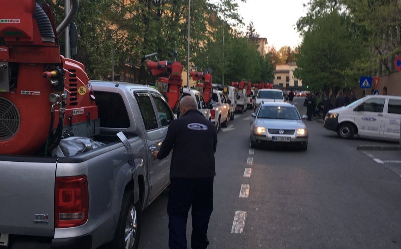 O nouă acțiune de dezinsecție pe domeniul public și privat