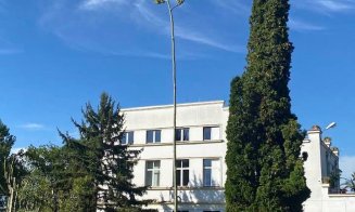 Grădina Botanică din Cluj-Napoca. În plină caniculă, o plantă din America Centrală a înflorit