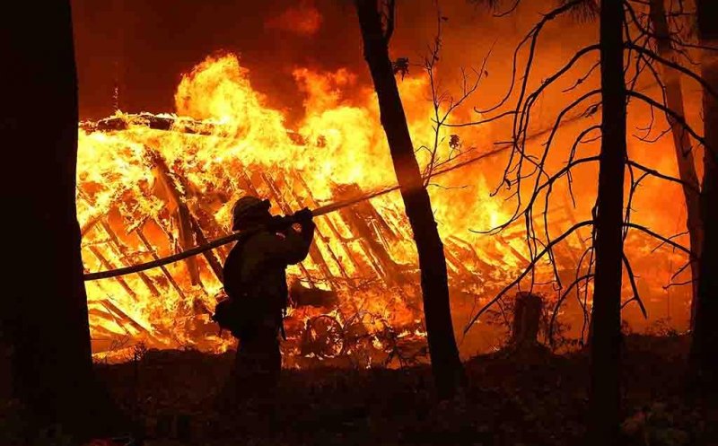 Incendii în România! 627 de hectare au ars în acest an...care sunt zonele cele mai afectate