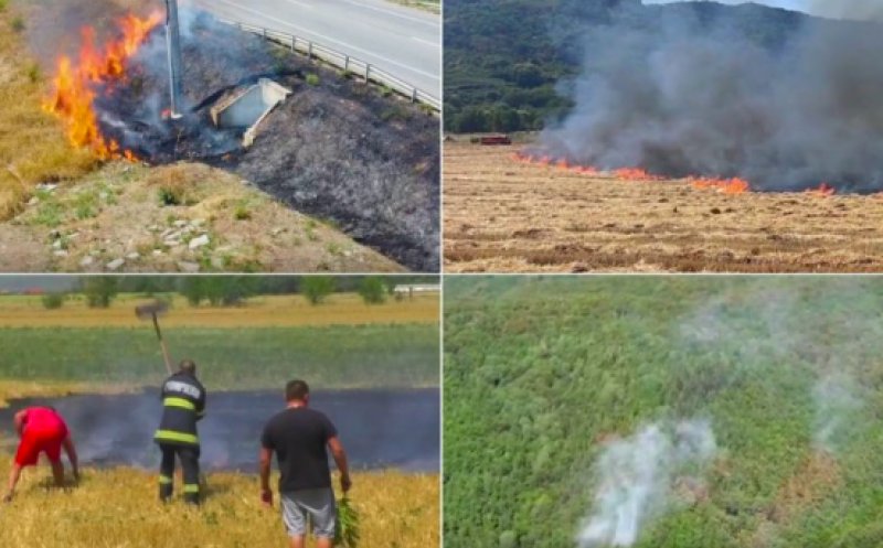 Incendii devastatoare au izbucnit în toată ţara. Sute de hectare au ars în două zile