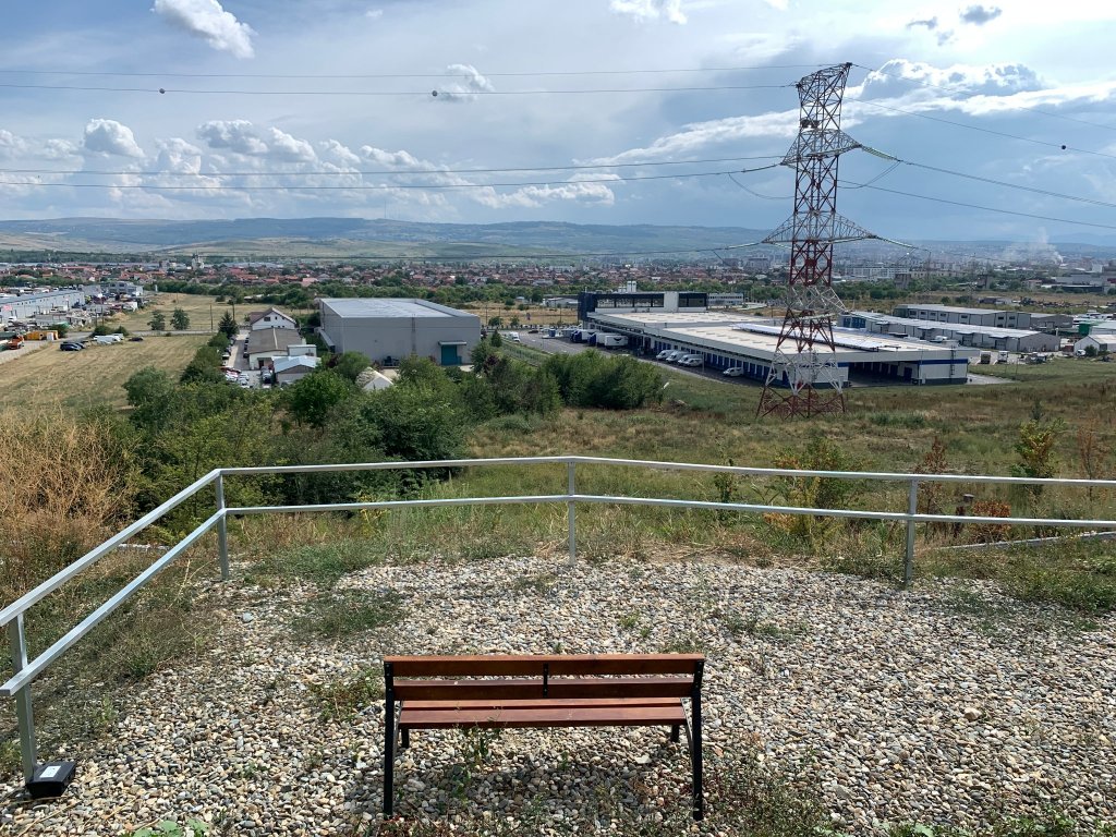 Abia inaugurată, Pădurea Clujenilor arată jalnic: buruieni, copaci uscați, podețe peste ...nimic