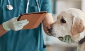 OMS recomandă vigilenţă după ce un câine a fost infectat cu variola maimuţei de doi bărbaţi