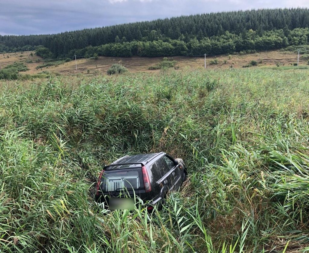 Accident pe Cluj-Turda. O femeie a plonjat cu mașina în câmp/ Un câine a rămas blocat în portbagaj