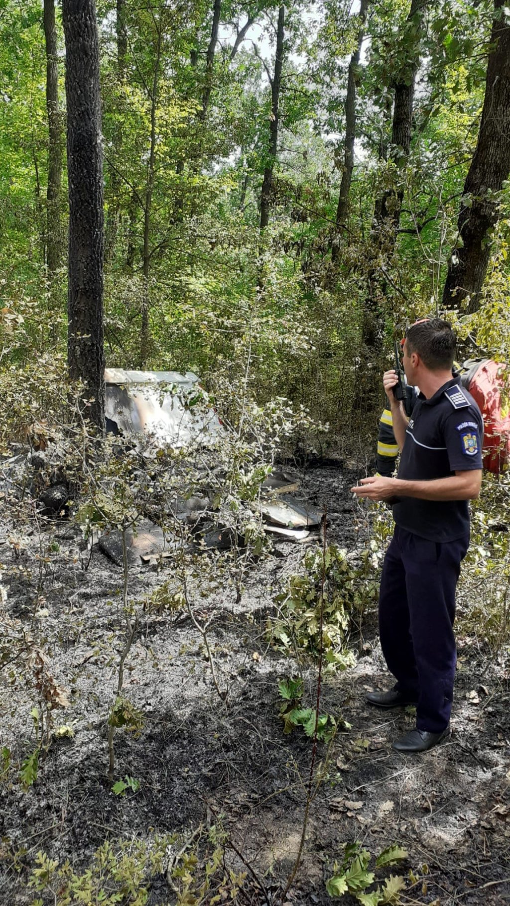 Avion de mici dimensiuni, prăbuşit. Două persoane carbonizate, găsite la locul accidentului