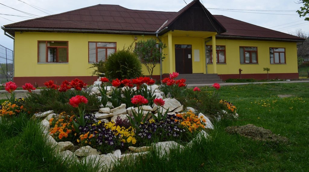 Bani de la Consiliul Județean pentru o școală din Cluj. La ce vor fi folosiți