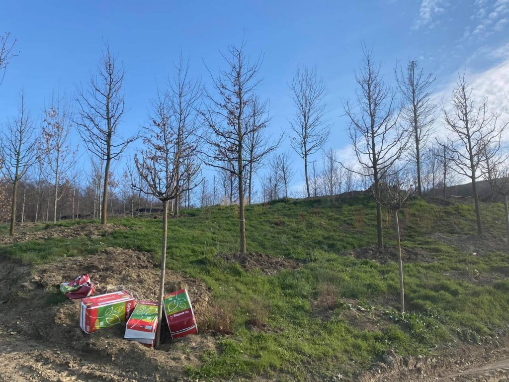 Constructorul cere mai mulți bani de la primărie pentru Pădurea Clujenilor