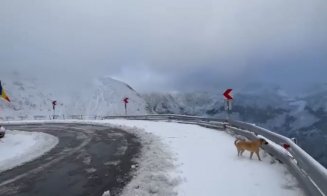 Atenție, strat de zăpadă la munte! Când se pun cauciucurile de iarnă