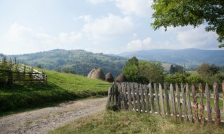 Se asfaltează drumul care duce la Arborele de Sequoia din Săcuieu. Banii vin din „Anghel Saligny”