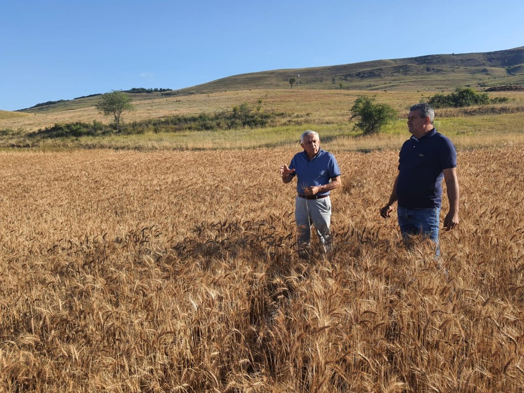 Ministrul Agriculturii: România a redus cu 5% risipa alimentară din 2016 până acum