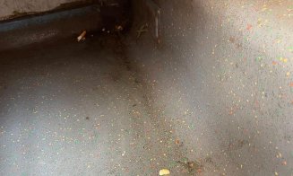 Garnituri de tren, scoase de pe linie de ANPC: "A merge cu trenul astăzi e o cursă cu peripeţii. COVID-ul pare o favoare. CFR pare doar o vacă de