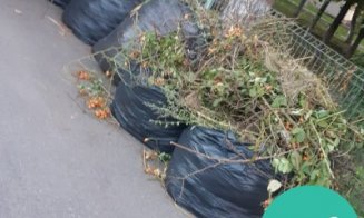 În atenția asociațiilor de proprietari din Cluj-Napoca: Colectare suplimentară a deșeurilor vegetale rezultate în urma activităților de întreținere a 