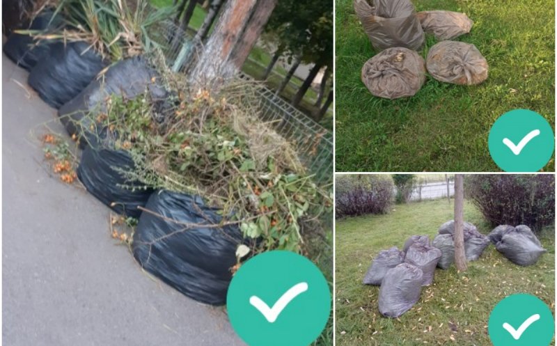 În atenția asociațiilor de proprietari din Cluj-Napoca: Colectare suplimentară a deșeurilor vegetale rezultate în urma activităților de întreținere a zonelor verzi