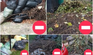 În atenția asociațiilor de proprietari din Cluj-Napoca: Colectare suplimentară a deșeurilor vegetale rezultate în urma activităților de întreținere a 