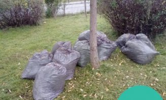 În atenția asociațiilor de proprietari din Cluj-Napoca: Colectare suplimentară a deșeurilor vegetale rezultate în urma activităților de întreținere a 