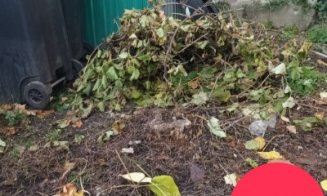 În atenția asociațiilor de proprietari din Cluj-Napoca: Colectare suplimentară a deșeurilor vegetale rezultate în urma activităților de întreținere a 