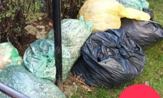 În atenția asociațiilor de proprietari din Cluj-Napoca: Colectare suplimentară a deșeurilor vegetale rezultate în urma activităților de întreținere a 